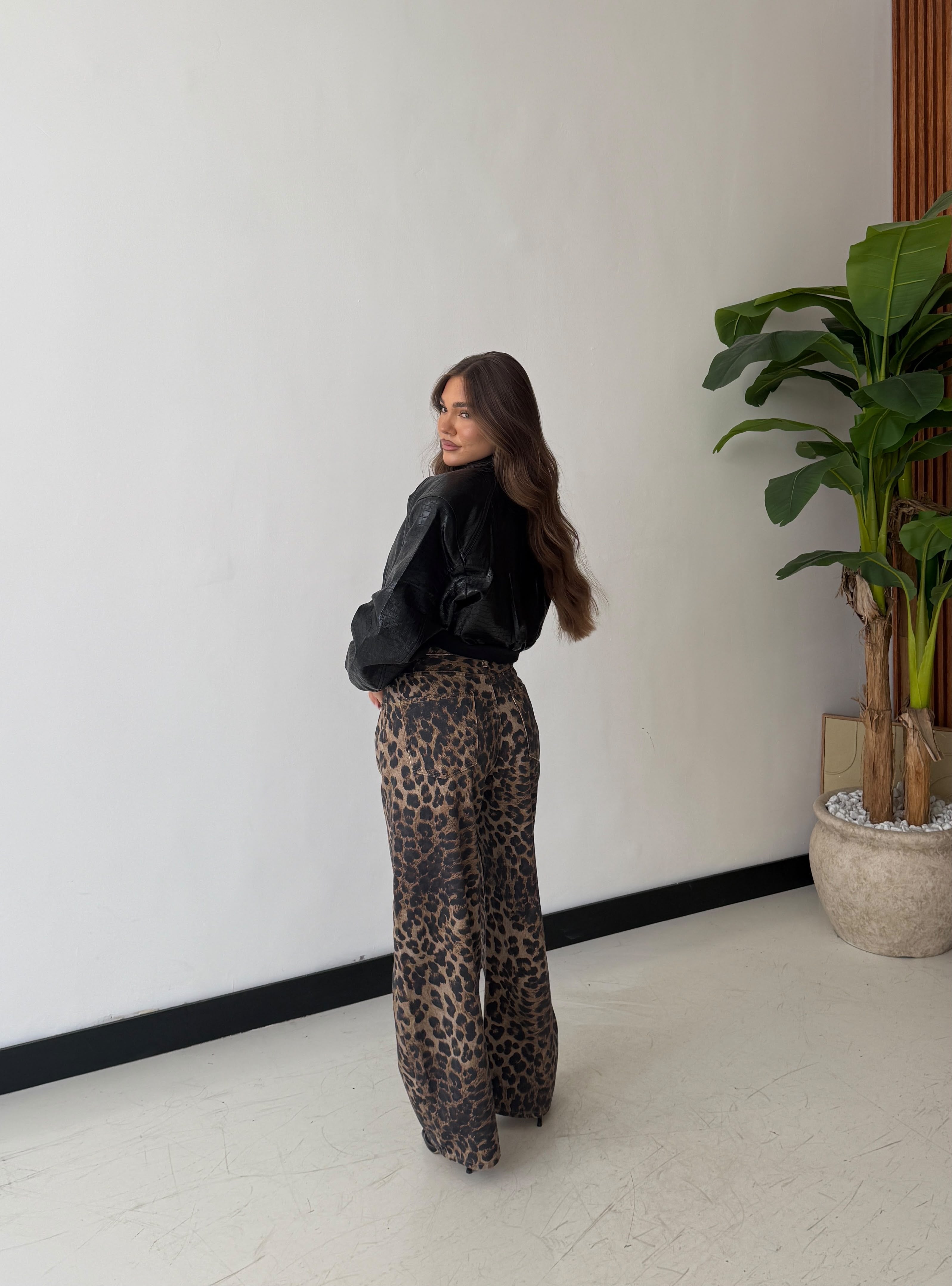 Immagine diapositiva