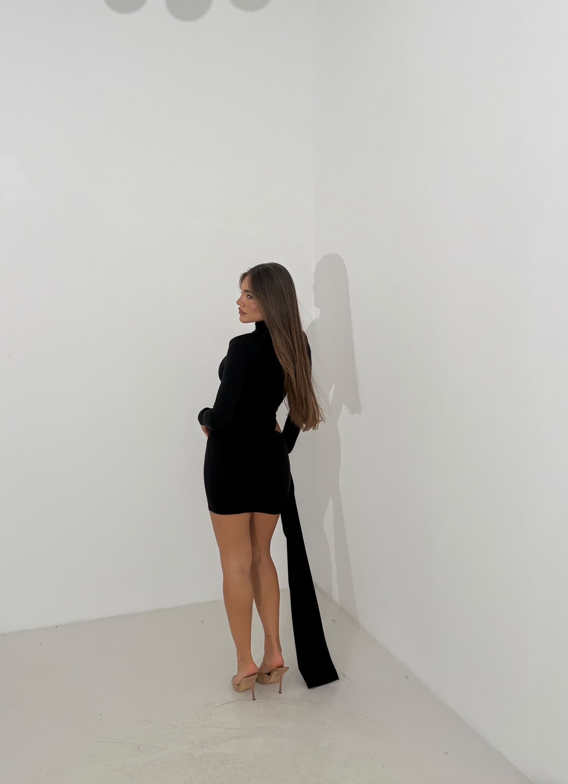 Immagine diapositiva